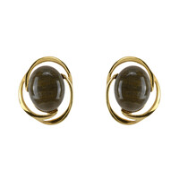 Boucles d'oreilles en argent et Bois fossilisé