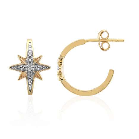 I3 (I) Diamant-Silberohrringe