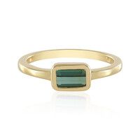 Anillo en plata con Turmalina verde Benedito (Adela Silber)