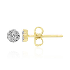 Boucles d'oreilles en argent et Diamant I1 (G)
