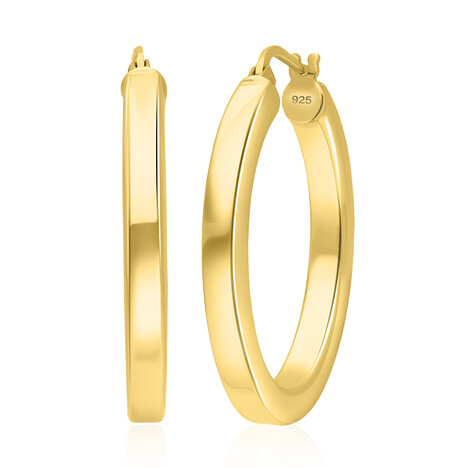 Boucles d'oreilles en argent