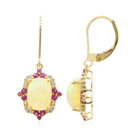 AAA-Welo-Opal-Goldohrringe (CIRARI)
