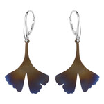 Titanohrringe (dagen)