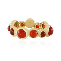 Zilveren ring met carneoolstenen