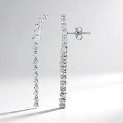 Orecchini in argento con Zircone