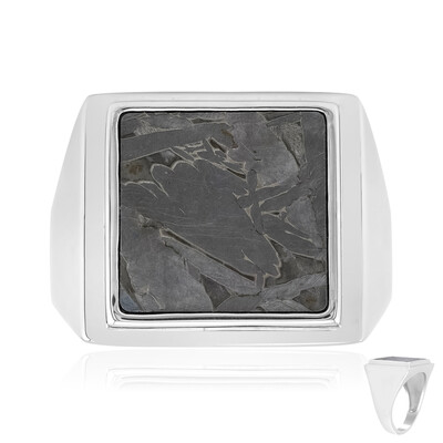 Anello in argento con Meteoriti di Aletai