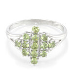 Namibia-Demantoid-Silberring