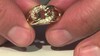 Zilveren ring met I1 (G) Diamanten (Annette)