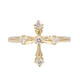 I1 (H) Brillant-Goldring (CIRARI)