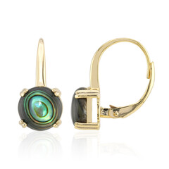 Pendientes en plata con Concha de Abalone