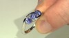 Anillo en plata con Tanzanita