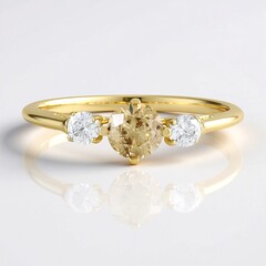 Gouden ring met een I2 Champagne Diamant