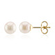 Pendientes en plata con Perla de Akoya (TPC)