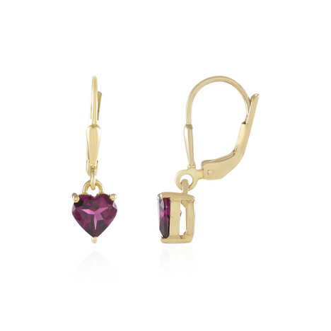 Zilveren oorbellen met Naktamunda rhodolieten