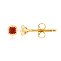 Pendientes en plata con Zafiro Crepúsculo