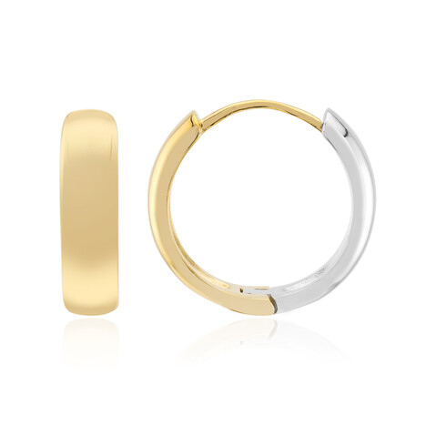 Orecchini in argento