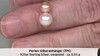 Colgante en plata con Perla de Akoya (TPC)
