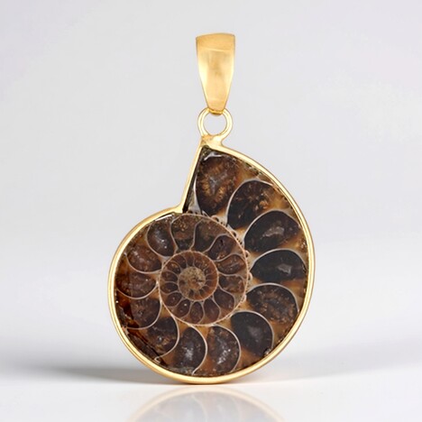 Pendentif en argent et Ammonite (Bali Barong)