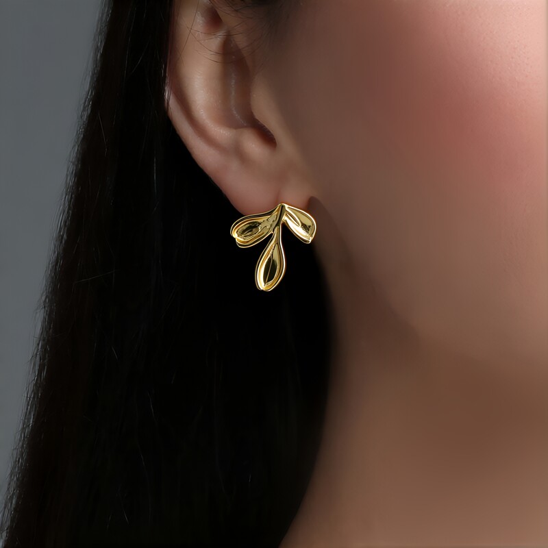 Boucles d'oreilles en argent