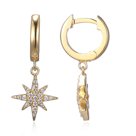 Zirkon-Silberohrringe