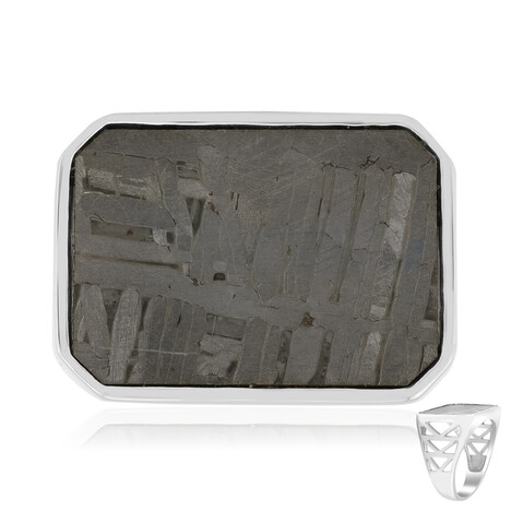 Zilveren ring met een Aletai meteoriet