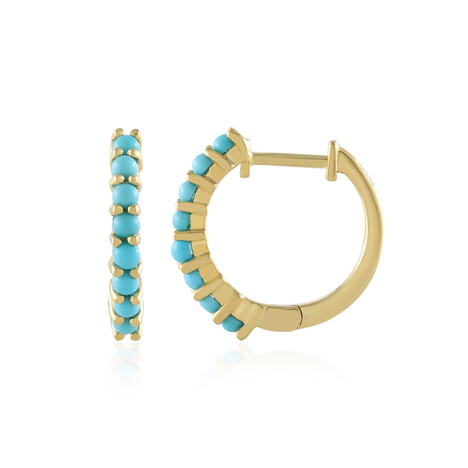 Boucles d'oreilles en argent et Turquoise Sleeping Beauty