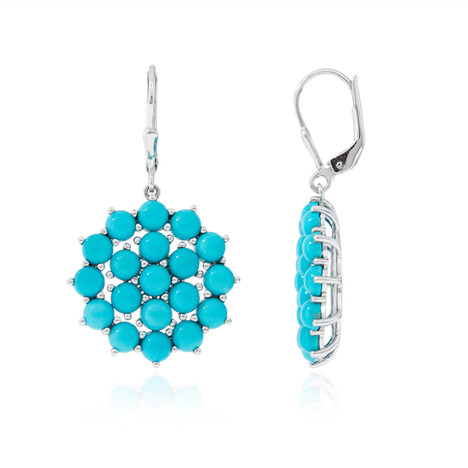 Sleeping Beauty-Türkis-Silberohrringe