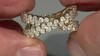 Anillo en oro con Diamante I3 (H) (de Melo Gold)