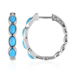 Pendientes en plata con Turquesa bella durmiente