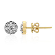Orecchini in oro con Diamante VVS1 (G) (Annette)