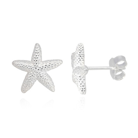Boucles d'oreilles en argent
