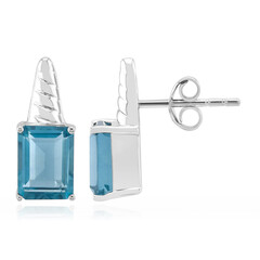 Braldu Fluorite Silver Earrings