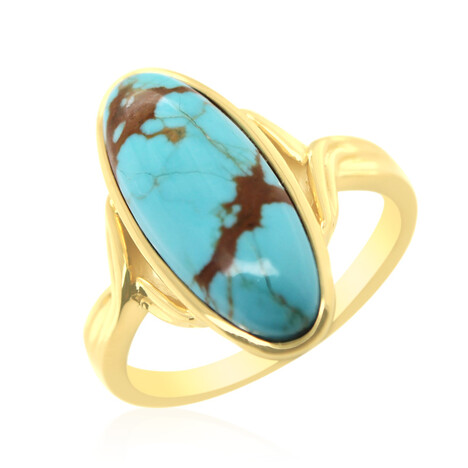 Zilveren ring met een Mine 8 Turkoois (Anne Bever)