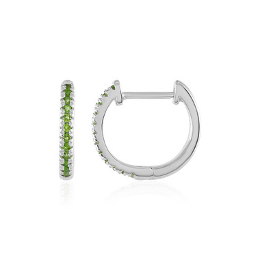 Orecchini in argento con Diopside Russo