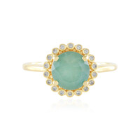 Zilveren ring met een Grandidieriet