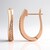Orecchini in argento con Diamante Argyle Rose de France I1 (Annette)