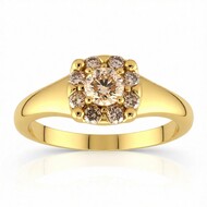 VS1 Argyle-Rose de France-Brillant-Goldring (Annette)