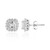 Zircon Silver Earrings