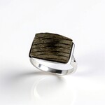 Anello in argento con Quercia Nera (dagen)