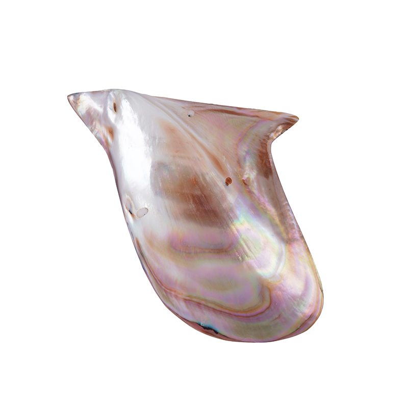 Indonesian Abalone Barong Shell, 100x70 mm