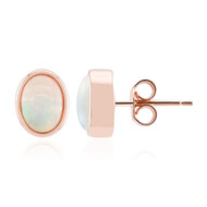 Welo-Opal-Silberohrringe (Adela Silber)