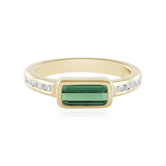 Zilveren ring met een groene Benedito toermalijn (Adela Silber)