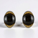 Orecchini in argento con Legno Fossile (dagen)