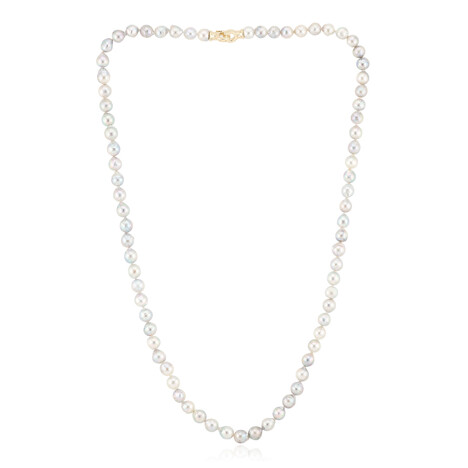 Platin-Akoya-Perlen-Goldcollier (TPC)