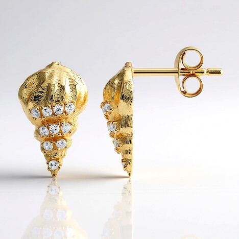 Orecchini in argento con Zircone