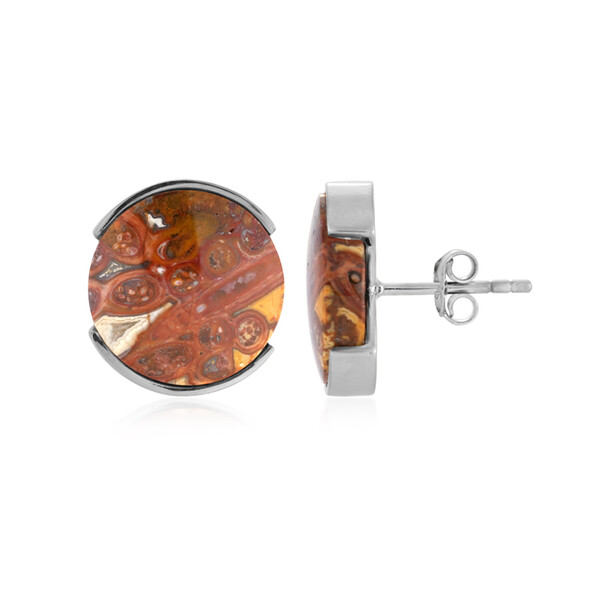 Pendientes en plata con Madera de palma petrificada