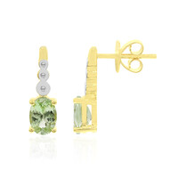 Pendientes en oro con Tsavorita Kenia (Tenner Diniz)