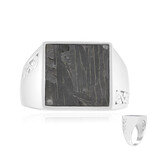 Zilveren ring met een Aletai meteoriet