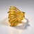 Anello in argento (Joias do Paraíso)
