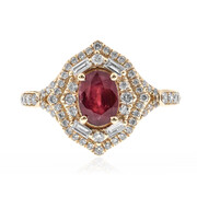 AAA-Mosambik-Rubin-Goldring (CIRARI)